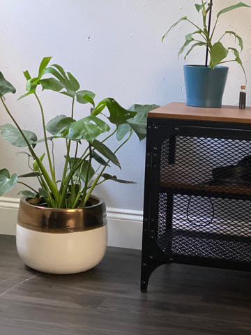 Customer plant on the floor