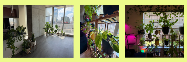 Growing things lifestyle images